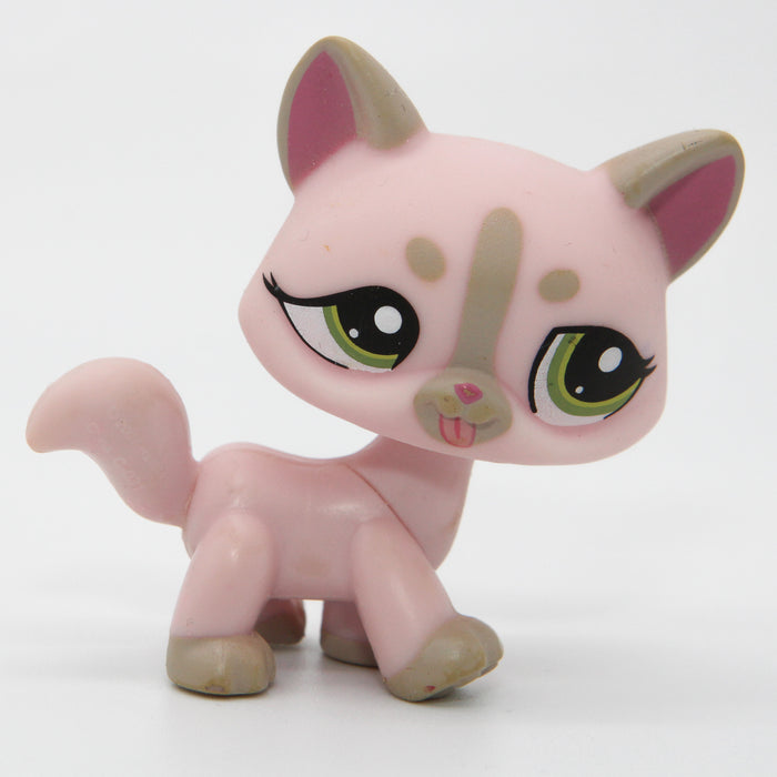 Littlest Petshop Kissa #1326