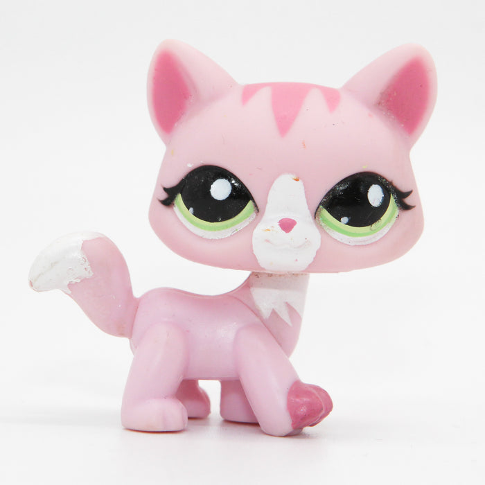 Littlest Petshop Kissa #1788