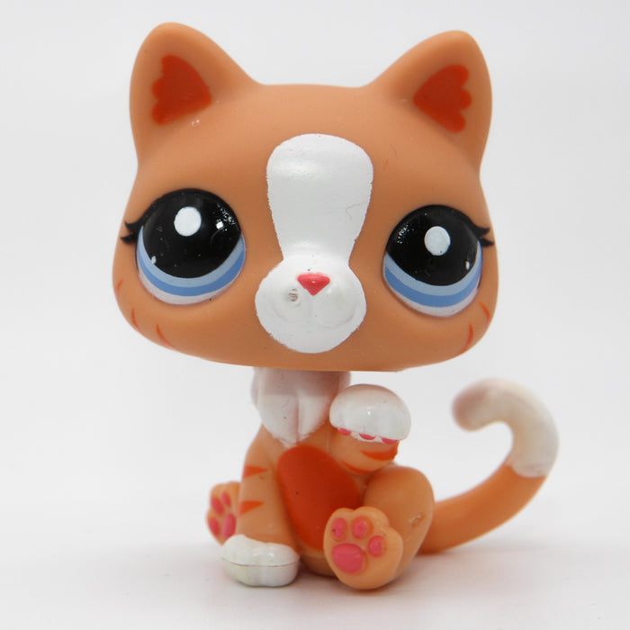 Littlest Petshop Kissa #2095