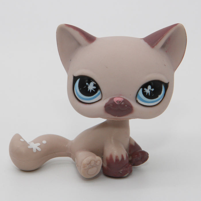 Littlest Petshop Kissa #664