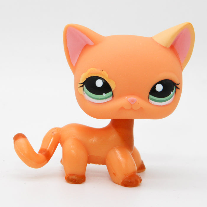 Littlest Petshop seisova Kissa #1643