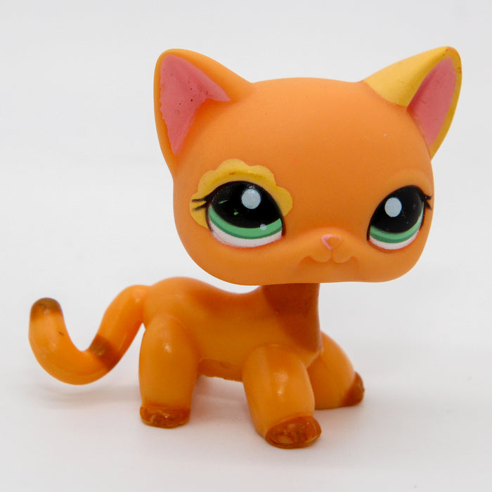 Littlest Petshop seisova Kissa #1643