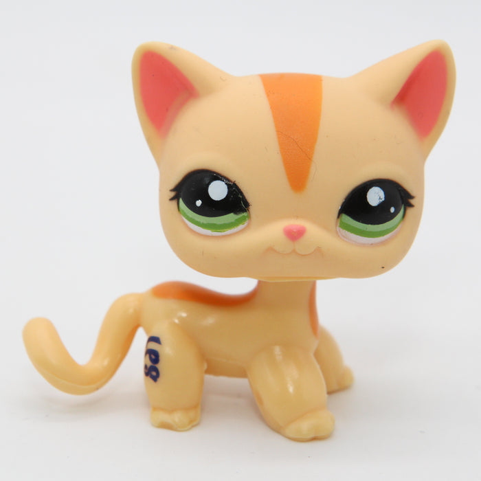 Littlest Petshop seisova Kissa #1905