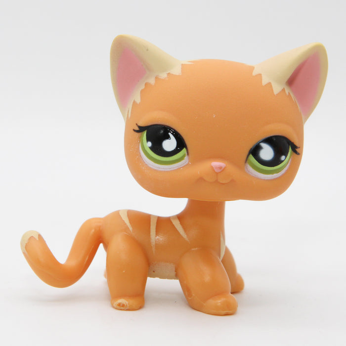 Littlest Petshop seisova Kissa #525