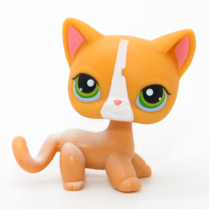 Littlest Petshop seisova Kissa #72