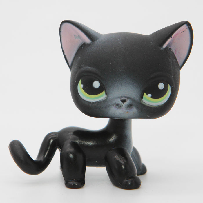 Littlest Petshop seisova Kissa #337