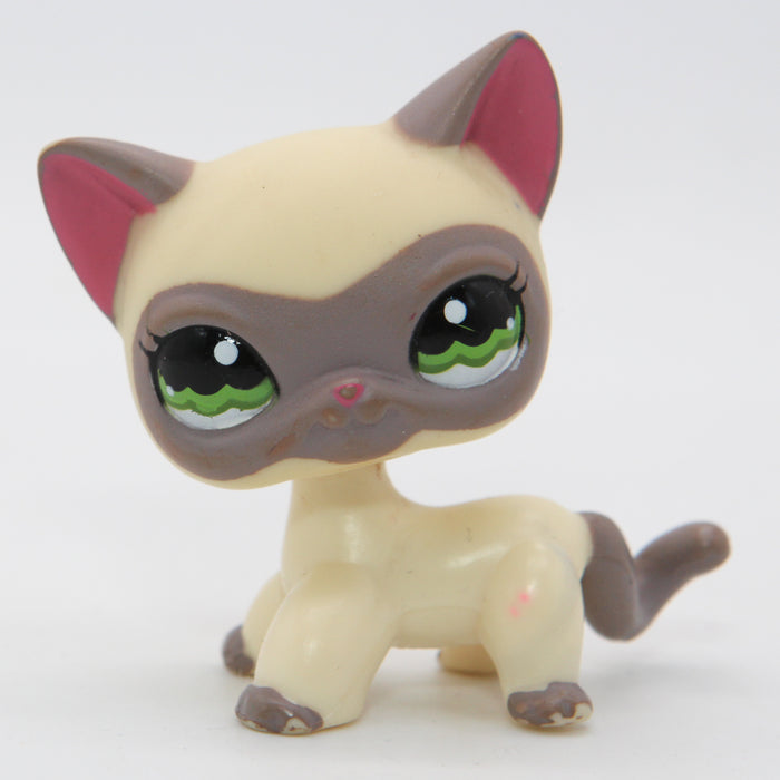 Littlest Petshop Siamialainen Kissa #1116