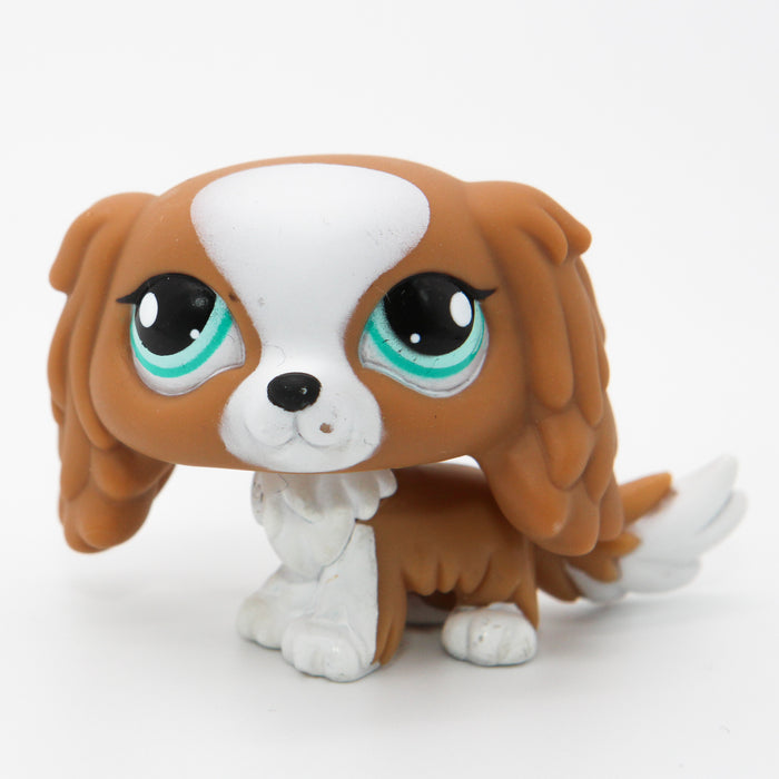 Littlest Petshop Spanieli #1825