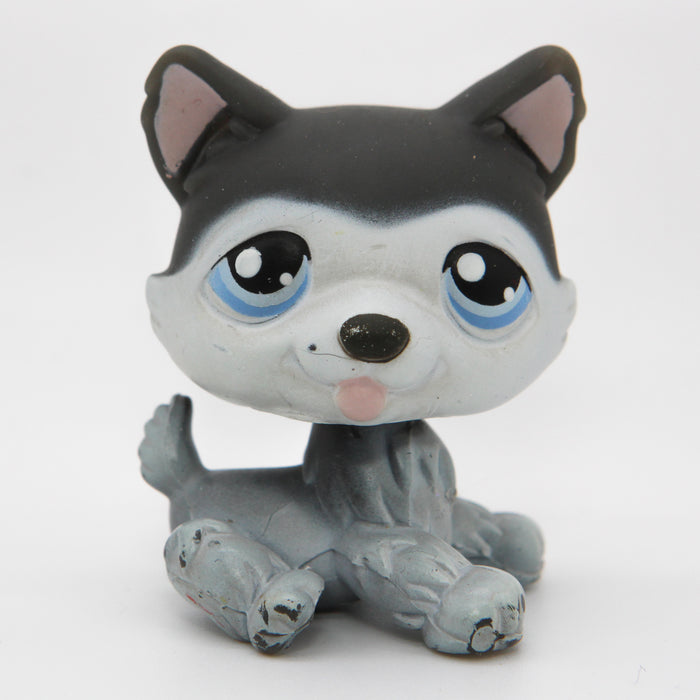 Littlest Petshop Husky #210