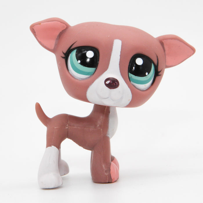 Littlest Petshop Vinttikoira #1585