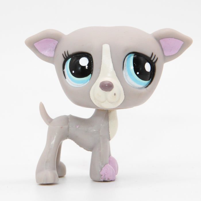 Littlest Petshop Vinttikoira #1897