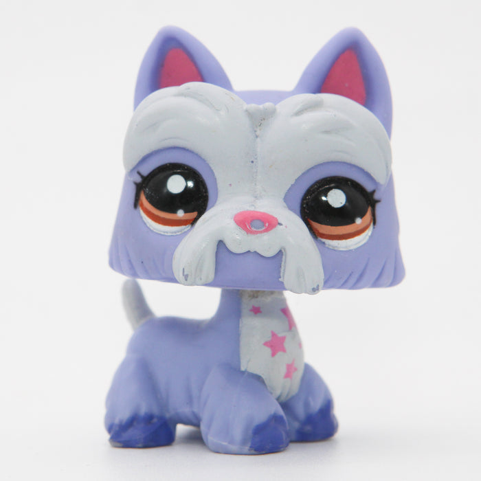 Littlest Petshop Ylämaanterrieri #2260