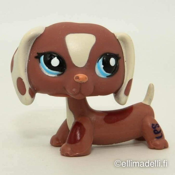 Littlest Petshop Mäyräkoira #1631 - Littlest Petshop