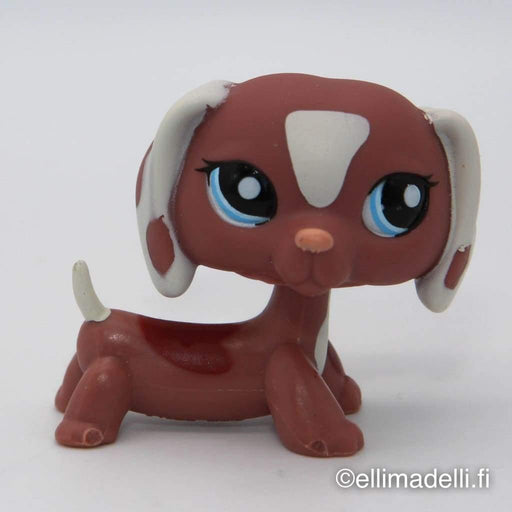 Littlest Petshop Mäyräkoira #1631 - Littlest Petshop