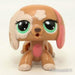 Littlest Petshop Mäyräkoira #2163 - Littlest Petshop