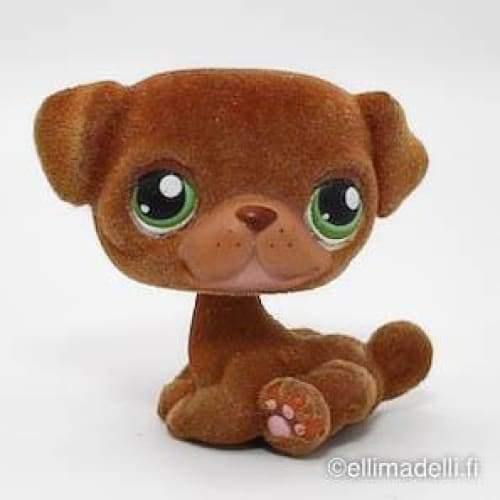 Littlest Petshop Mopsi #439 - Littlest Petshop