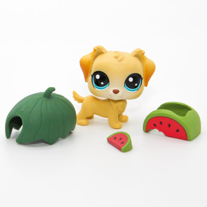 Littlest Petshop Kultainen noutaja #4-150