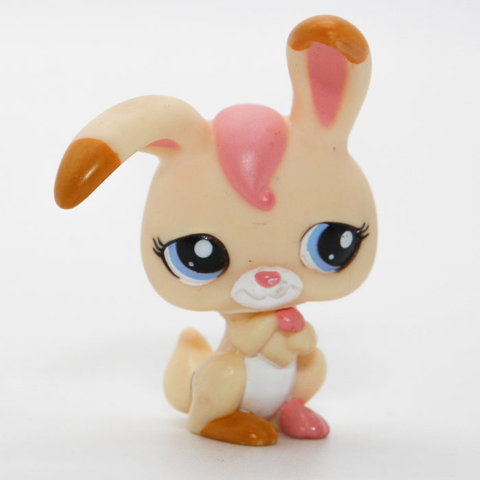 Littlest Petshop Pupu #1899