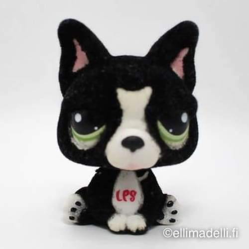 Littlest Petshop Ranskan Bulldog koira #978 - Littlest