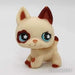 Littlest Petshop Saksanpaimenkoira #544 - Littlest Petshop