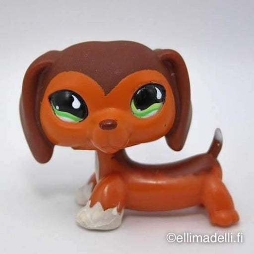 Littlest Petshop Savannah Mäyräkoira #675 - Littlest Petshop