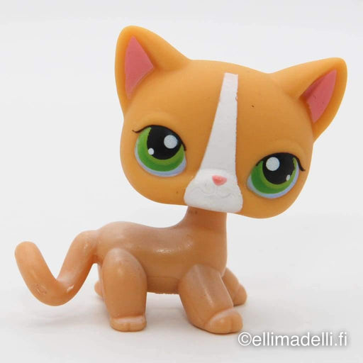 Littlest Petshop seisova Kissa #72 - Littlest Petshop