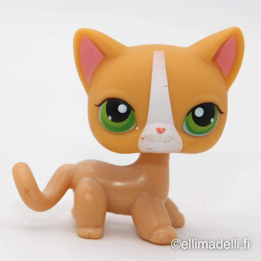 Littlest Petshop seisova Kissa #72 - Littlest Petshop