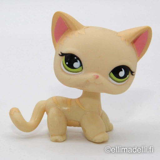 Littlest Petshop seisova Kissa #733 - Littlest Petshop