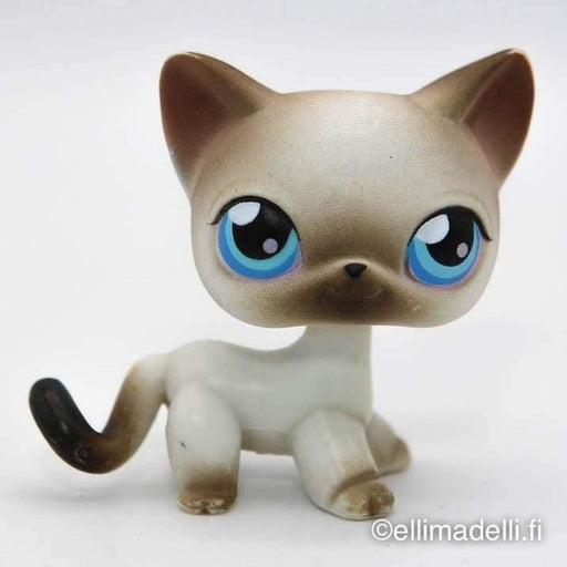 Littlest Petshop Siamilainen Kissa #5 - Littlest Petshop