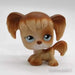 Littlest Petshop Spanieli koira #200 - Littlest Petshop