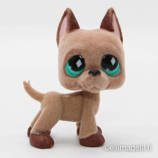 Littlest Petshop Tanskandog koira #636 - Littlest Petshop