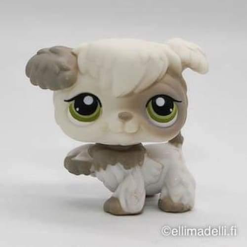 Littlest Petshop Villakoira #203 - Littlest Petshop