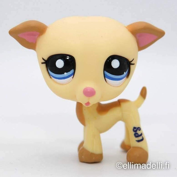 Littlest Petshop Vinttikoira #2041 - Littlest Petshop