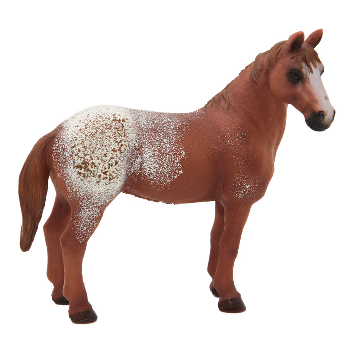 Schleich Appaloosa hevonen - Second Hand