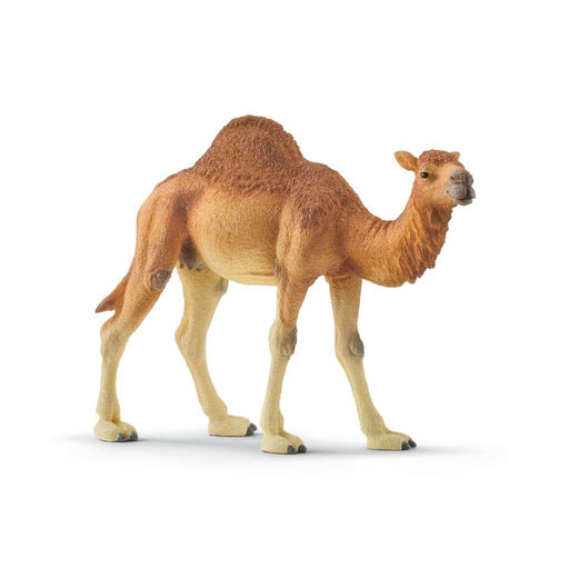 Schleich Dromedaari 14832 - Schleich/Papo