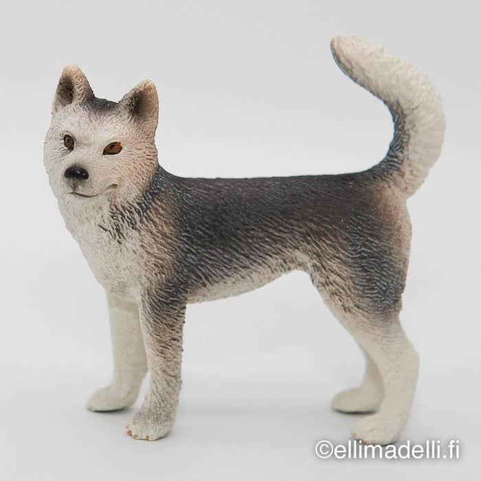 Schleich Husky koira - Schleich second hand