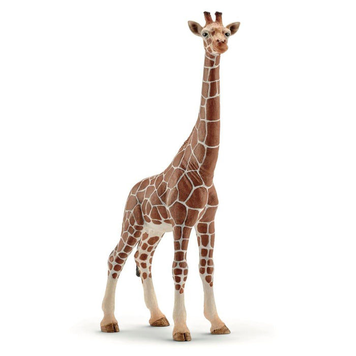 Schleich kirahvi 14750 - Schleich/Papo