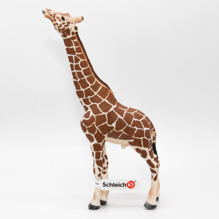 Schleich Kirahvi, uros 14389 - Second hand